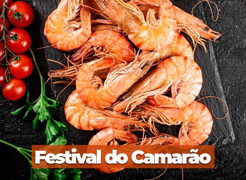 Festival do Camarão/2024